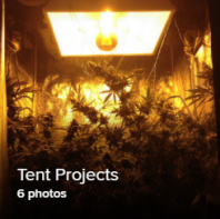 Tent Projects 1 Thumb.png